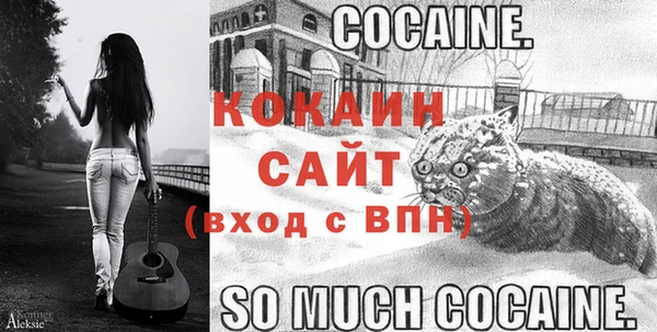 ГАЛЛЮЦИНОГЕННЫЕ ГРИБЫ Медвежьегорск