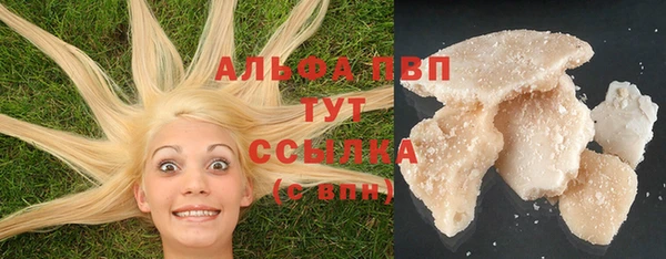ГАЛЛЮЦИНОГЕННЫЕ ГРИБЫ Медвежьегорск