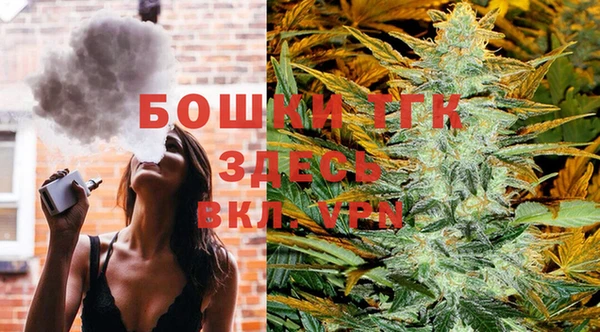ПСИЛОЦИБИНОВЫЕ ГРИБЫ Медногорск