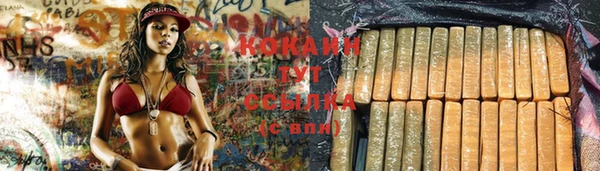 трава Надым