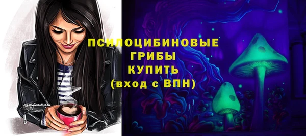 ГАЛЛЮЦИНОГЕННЫЕ ГРИБЫ Медвежьегорск