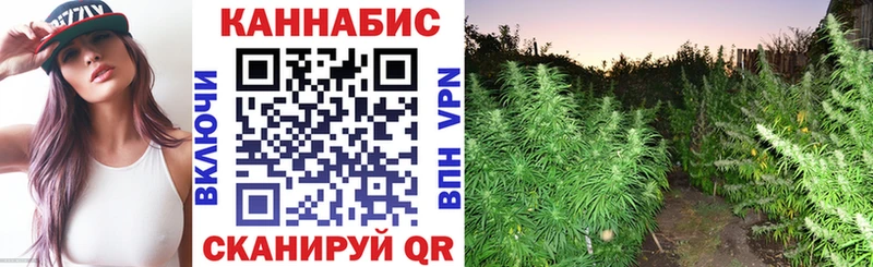 Шишки марихуана ГИДРОПОН  мега tor  Тбилисская 
